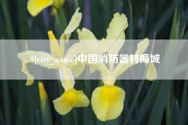 定西中国消防器材商城