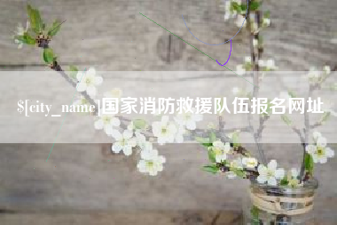 定西国家消防救援队伍报名网址