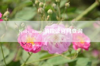 定西消控证官网查询