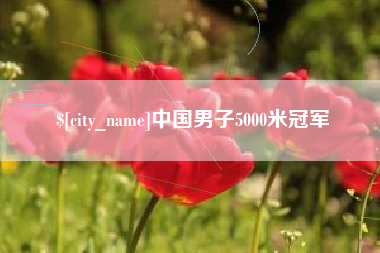 定西中国男子5000米冠军