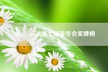 定西第七届亚冬会奖牌榜