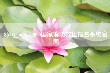 定西2020国家消防救援报名系统官网