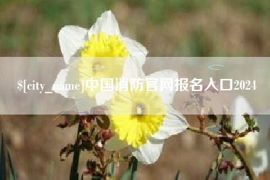 定西中国消防官网报名入口2024