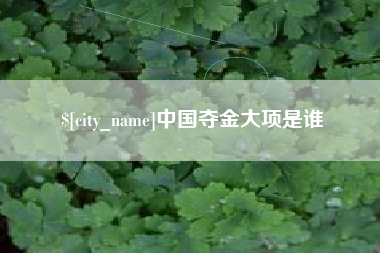 定西中国夺金大项是谁
