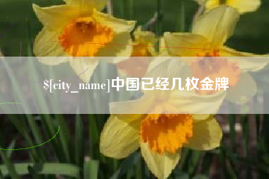 定西中国已经几枚金牌