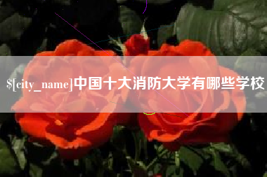 定西中国十大消防大学有哪些学校