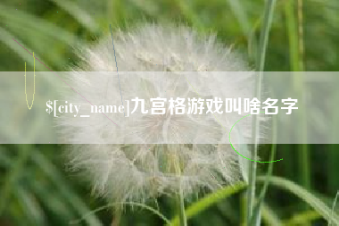 定西九宫格游戏叫啥名字