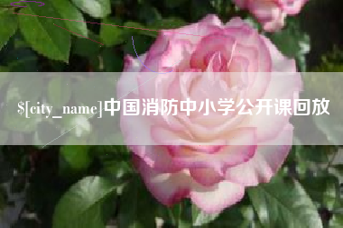 定西中国消防中小学公开课回放