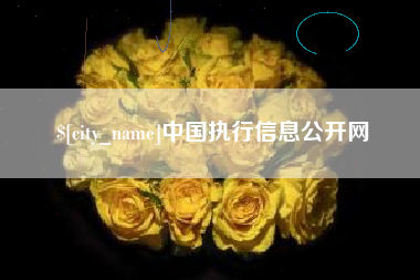 定西中国执行信息公开网