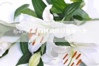 定西森林消防日是哪一天
