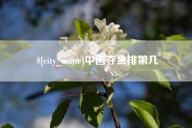 定西中国夺金排第几