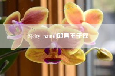 定西邱县王子磊