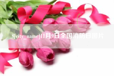 定西11月9日全国消防日图片