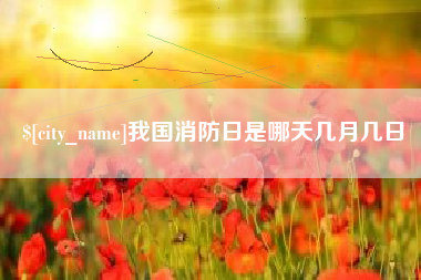 定西我国消防日是哪天几月几日