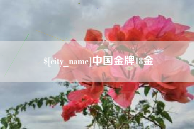 定西中国金牌18金