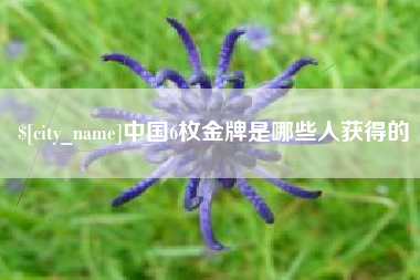 定西中国6枚金牌是哪些人获得的