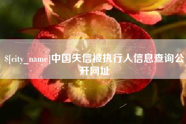 定西中国失信被执行人信息查询公开网址