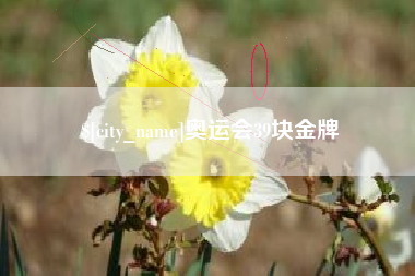 定西奥运会39块金牌