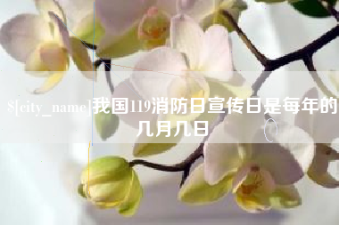 定西我国119消防日宣传日是每年的几月几日