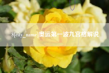 定西奥运第一波九宫格解说