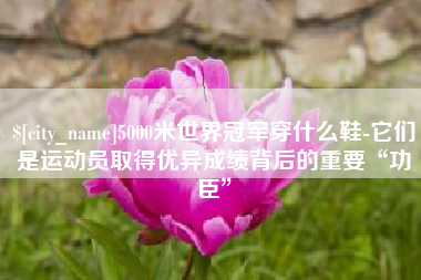 定西5000米世界冠军穿什么鞋-它们是运动员取得优异成绩背后的重要“功臣”