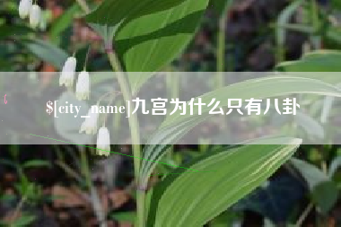 定西九宫为什么只有八卦