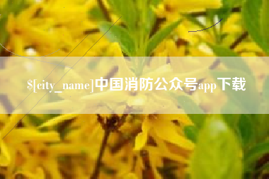 定西中国消防公众号app下载