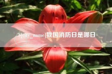 定西我国消防日是哪日