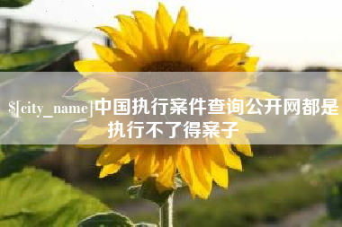 定西中国执行案件查询公开网都是执行不了得案子
