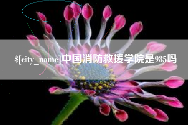 定西中国消防救援学院是985吗