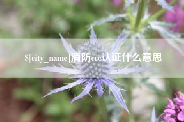 定西消防ccc认证什么意思