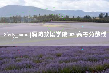 定西消防救援学院2020高考分数线