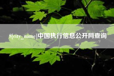 定西中国执行信息公开网查询