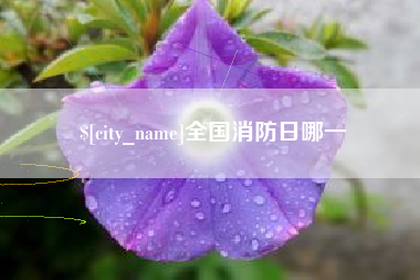 定西全国消防日哪一