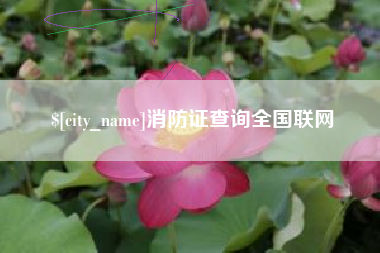 定西消防证查询全国联网