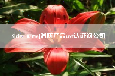 定西消防产品cccf认证询公司