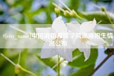 定西中国消防救援学院湖南招生情况公布