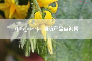 定西ccc消防产品查询网