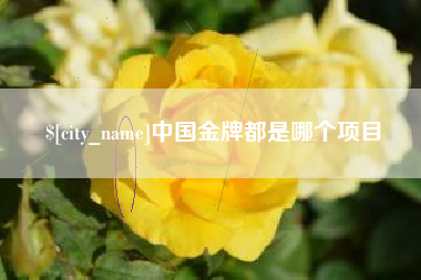 定西中国金牌都是哪个项目