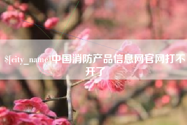 定西中国消防产品信息网官网打不开了