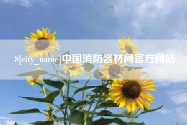定西中国消防器材网官方网站