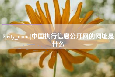 定西中国执行信息公开网的网址是什么