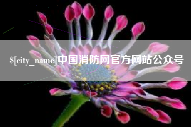 定西中国消防网官方网站公众号