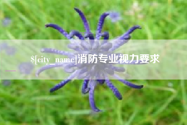 定西消防专业视力要求