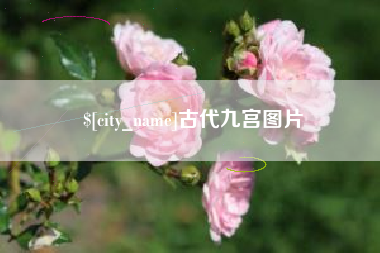 定西古代九宫图片