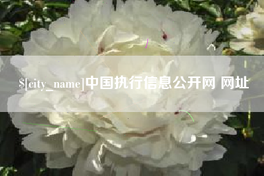 定西中国执行信息公开网 网址