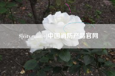 定西中国消防产品官网