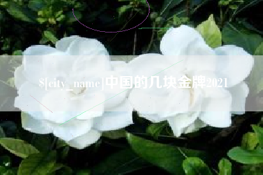 定西中国的几块金牌2021