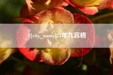 定西21年九宫格