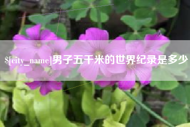 定西男子五千米的世界纪录是多少